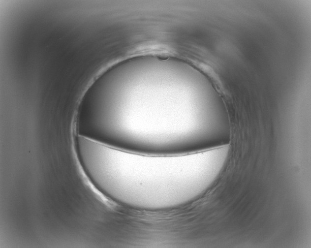 X0000069411383200605121038