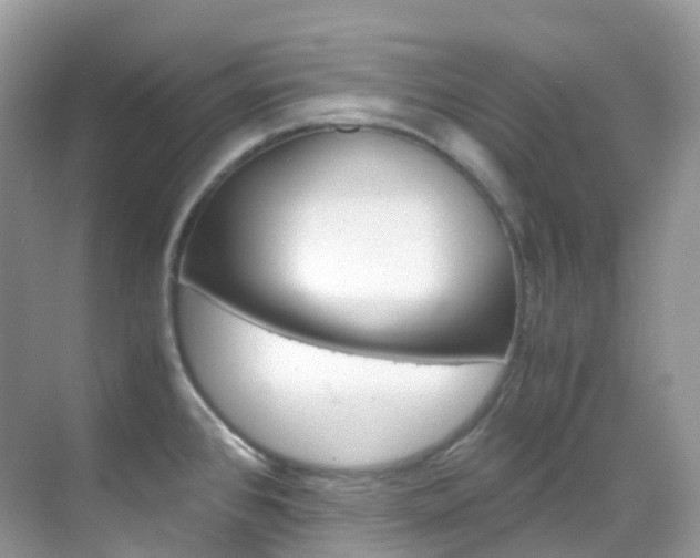X0000069411384200605121038