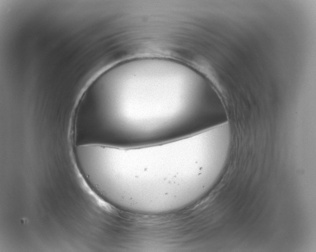 X0000069411387200605121038