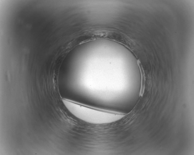 X0000069411394200605121037