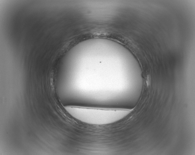 X0000069411396200605121037