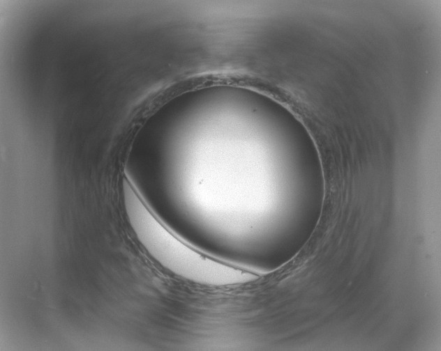 X0000069411398200605121037