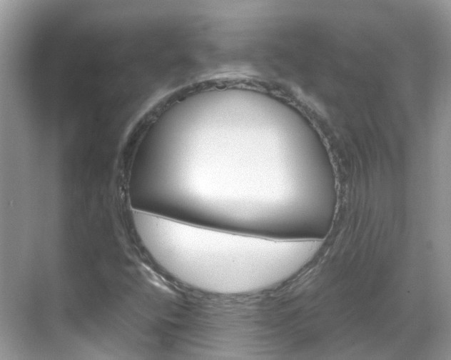 X0000069411400200605121037