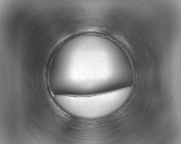 X0000069411404200605121037