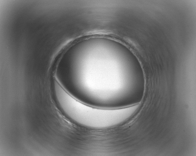 X0000069411406200605121037