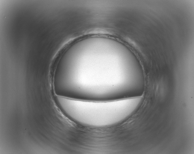 X0000069411408200605121037