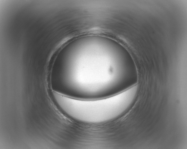 X0000069411410200605121037