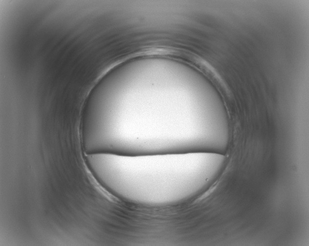 X0000069411417200605121037