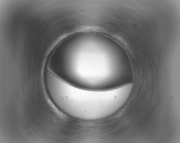 X0000069411422200605121037