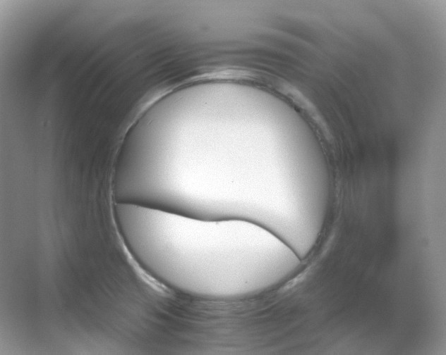 X0000069411425200605121037