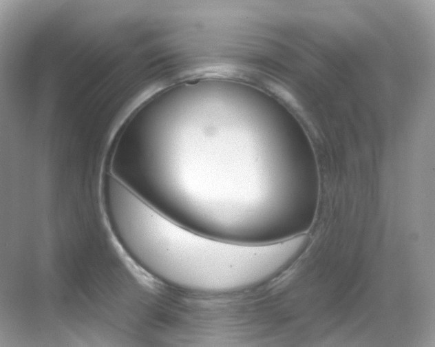 X0000069411426200605121037