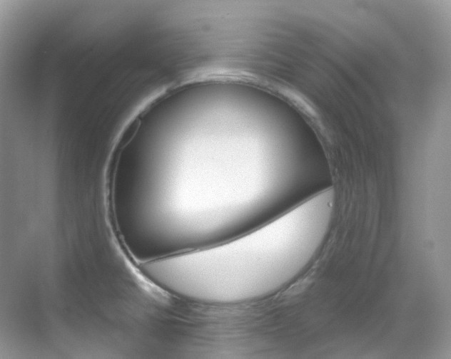 X0000069411430200605121037
