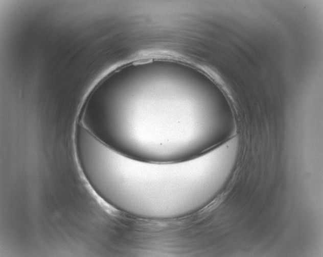 X0000069411438200605121037