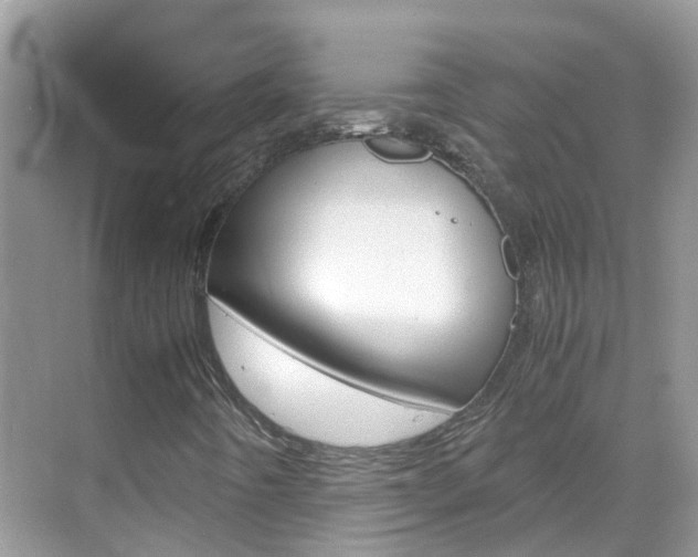 X0000069411442200605121037