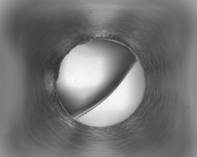 X0000069411444200605121037