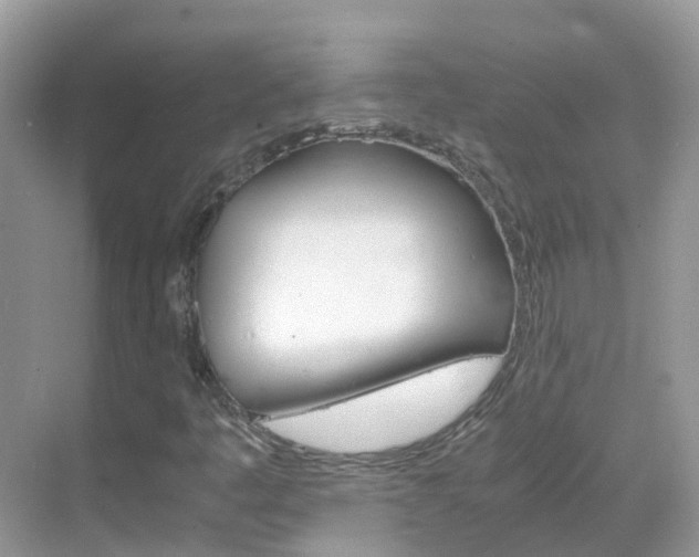 X0000069411445200605121037