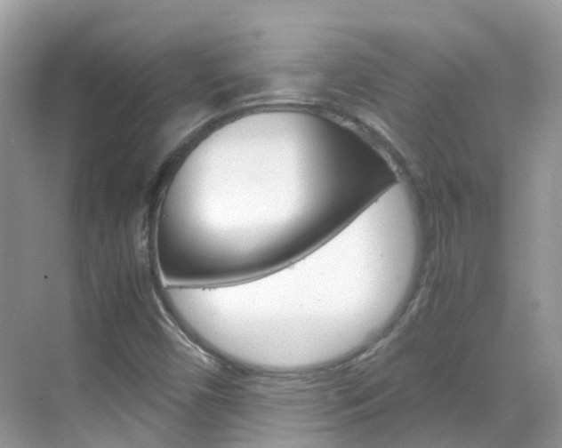 X0000069411450200605121036