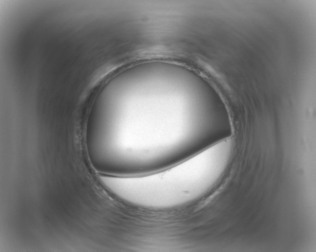 X0000069411453200605121036
