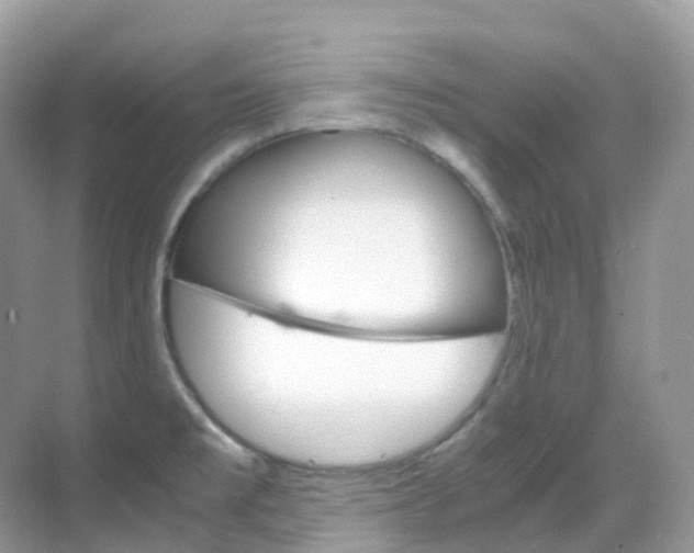 X0000069411477200605121036