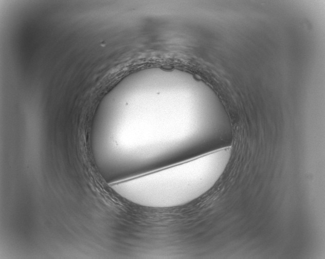 X0000069411489200605121035