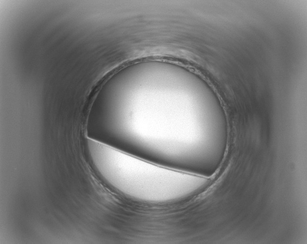X0000069411497200605121035