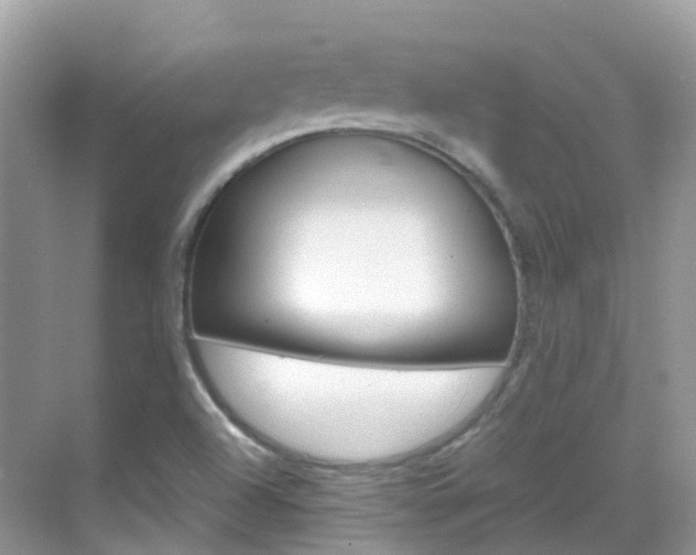 X0000069411504200605121035