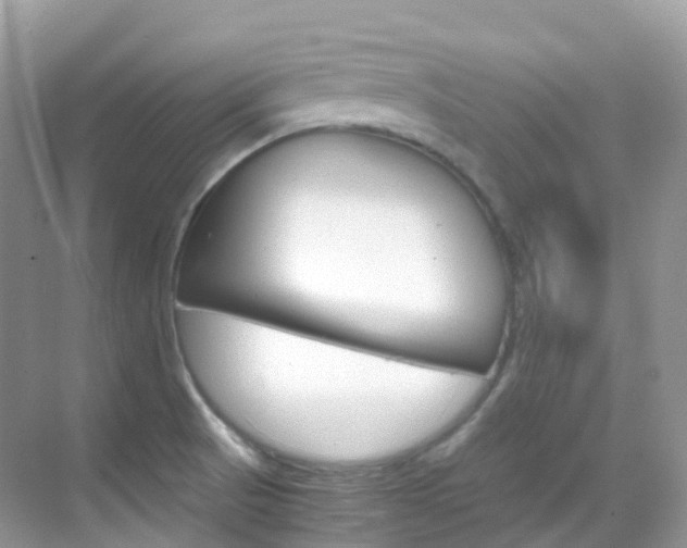 X0000069411521200605121036