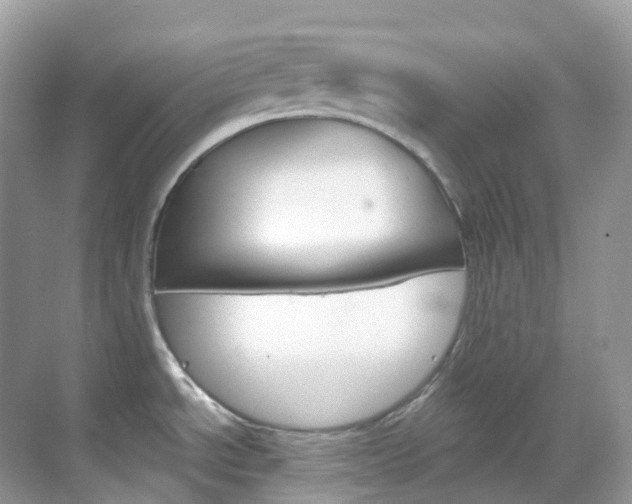 X0000069411534200605121036