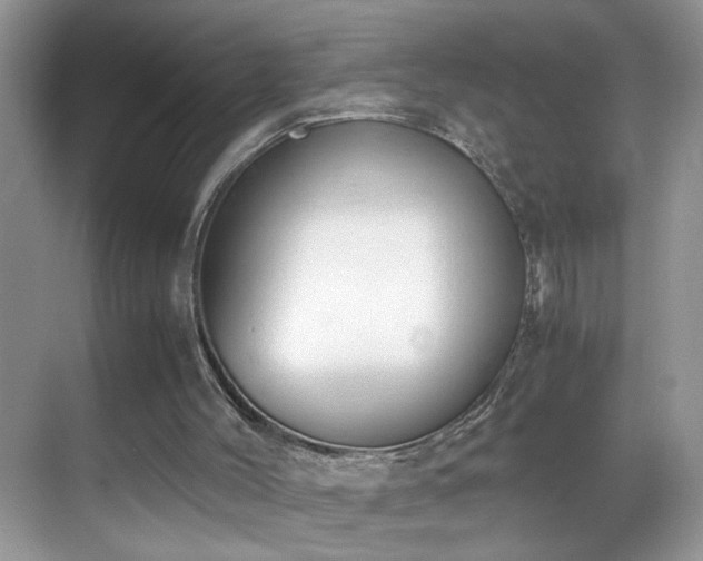 X0000069410004200605121253