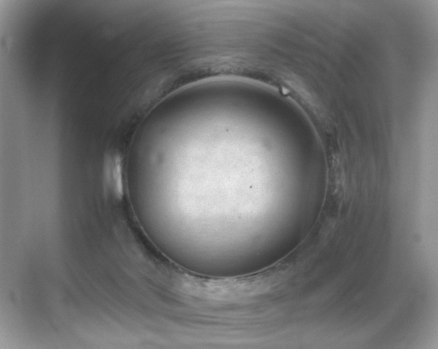 X0000069410022200605121253