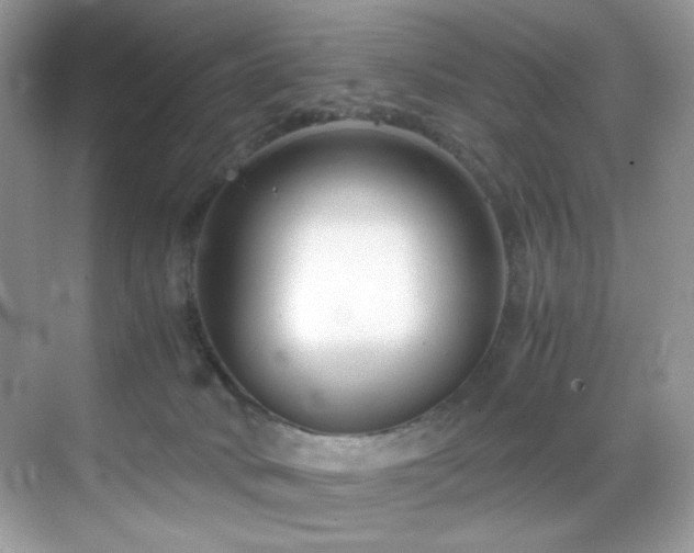 X0000069410034200605121252