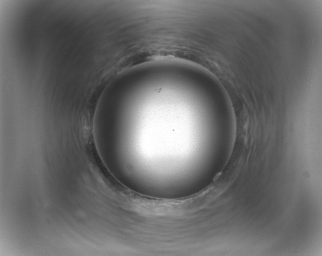 X0000069410040200605121252