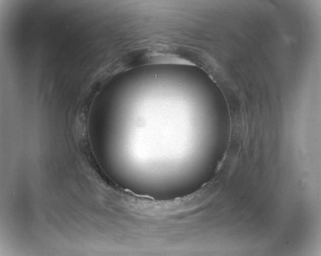 X0000069410043200605121252