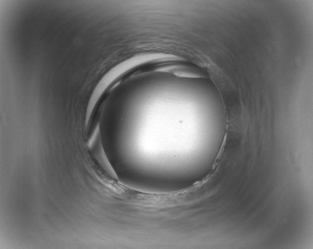 X0000069410045200605121252
