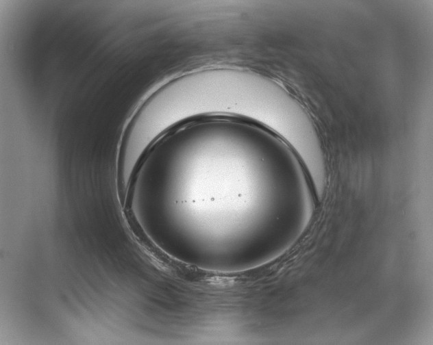 X0000069410052200605121251