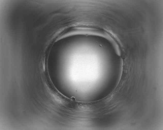 X0000069410062200605121252