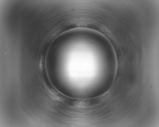 X0000069410074200605121252