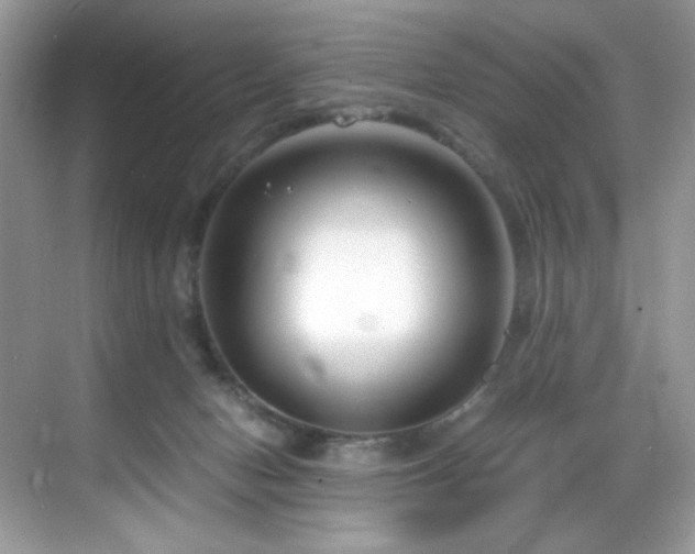 X0000069410078200605121252