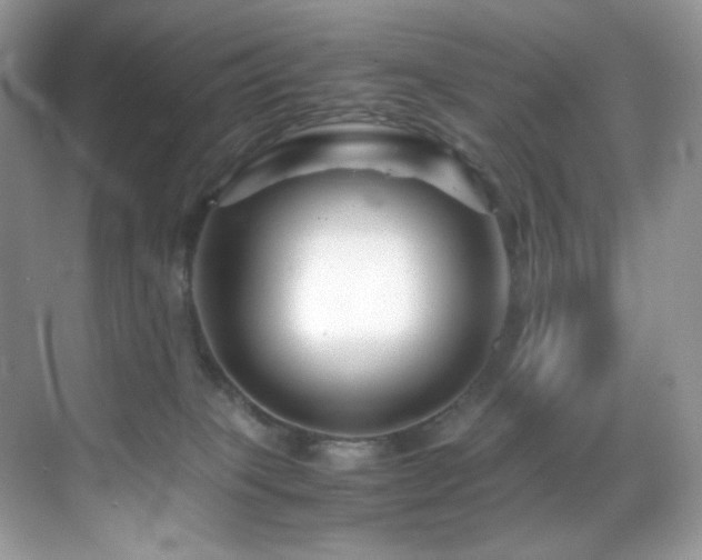 X0000069410085200605121252