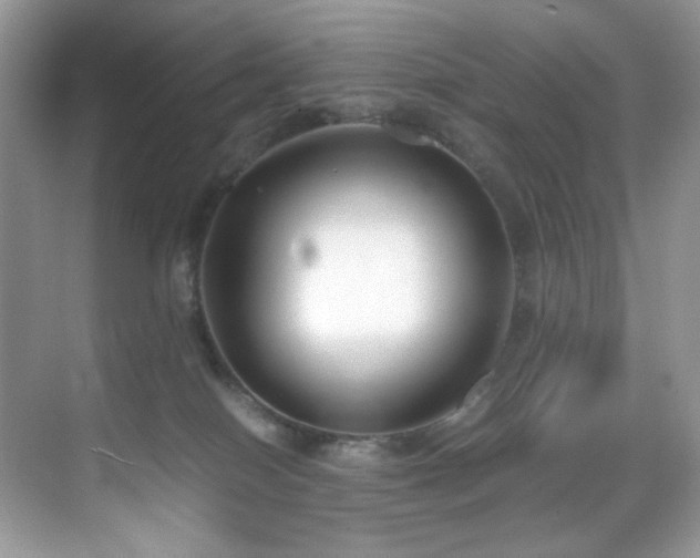 X0000069410086200605121252