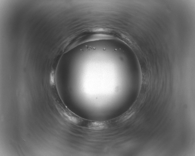 X0000069410095200605121252