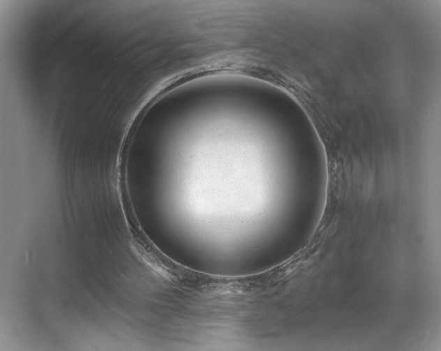 X0000069410100200605121251