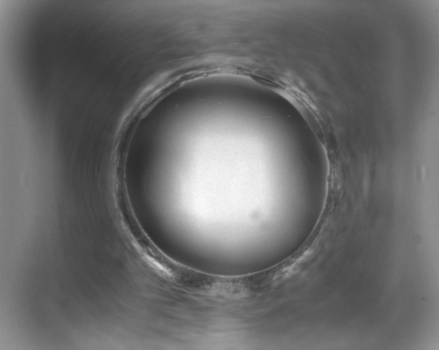 X0000069410101200605121251