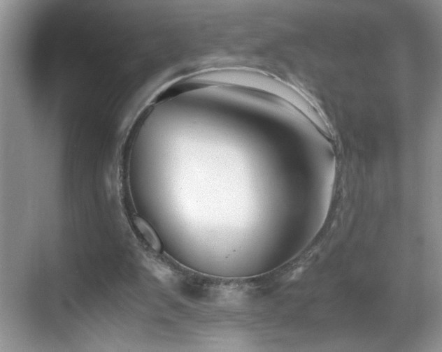 X0000069410103200605121251