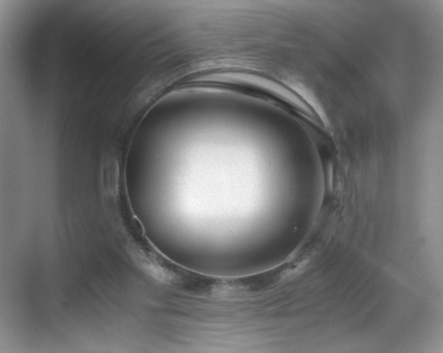 X0000069410109200605121251