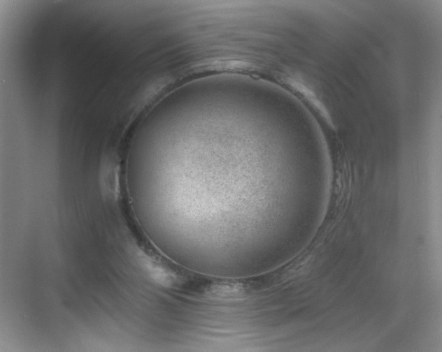 X0000069410110200605121251