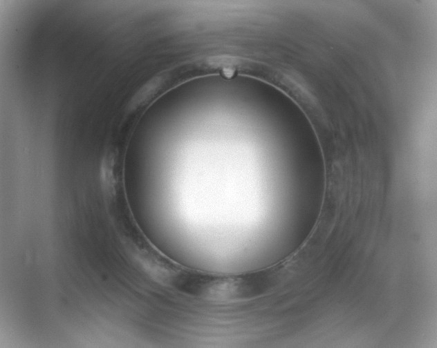 X0000069410116200605121251