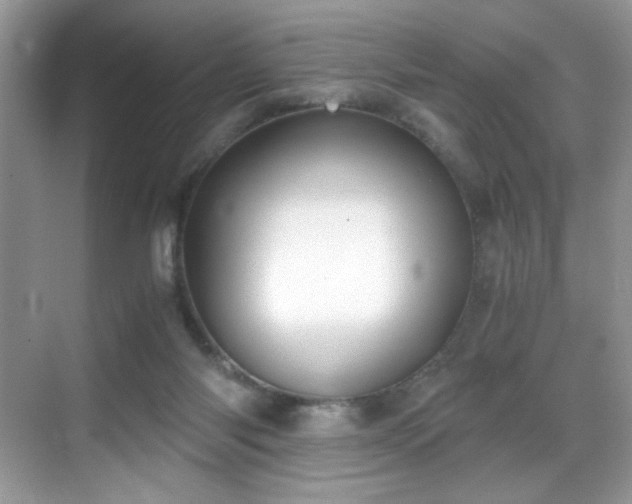 X0000069410118200605121251
