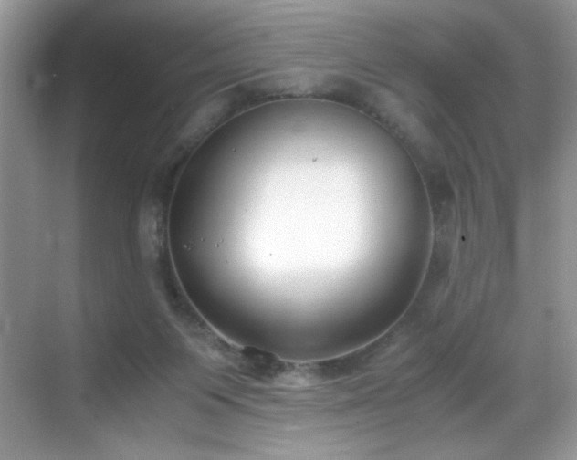X0000069410119200605121251