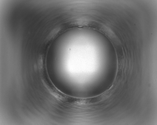 X0000069410120200605121251